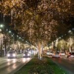 Calle de una ciudad iluminada con luces de Navidad por la noche